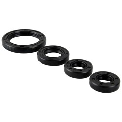 Retenes de motor para motocicleta Rocketman 250 Thunderstar 250 Tornado 250 Roda